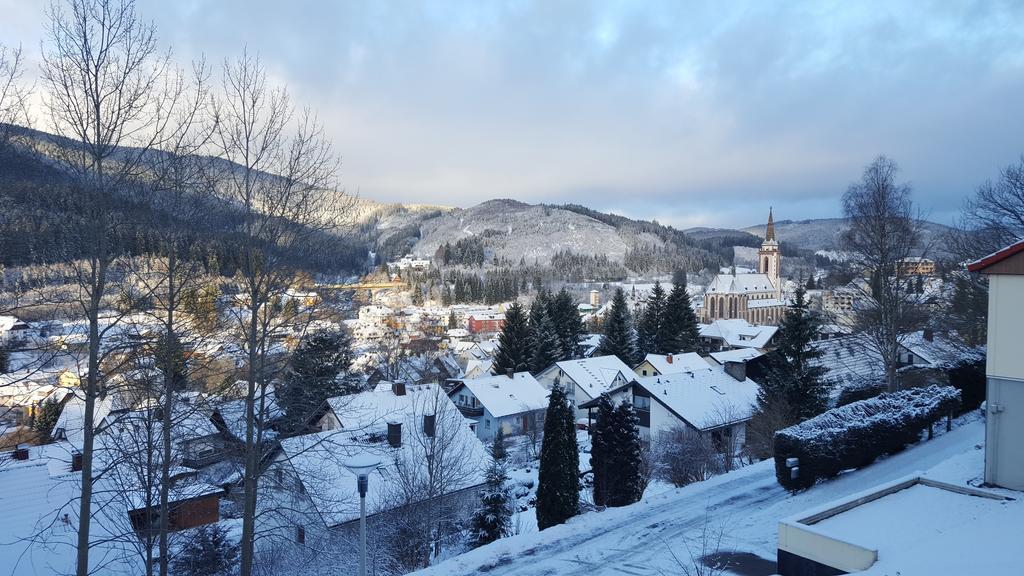 Hochschwarzwald Ferienwohnung Titisee-Neustadt Buitenkant foto